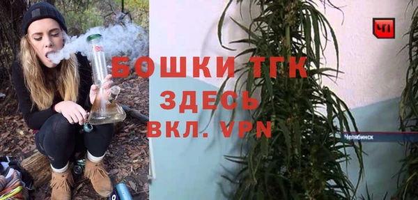 мет Дмитров